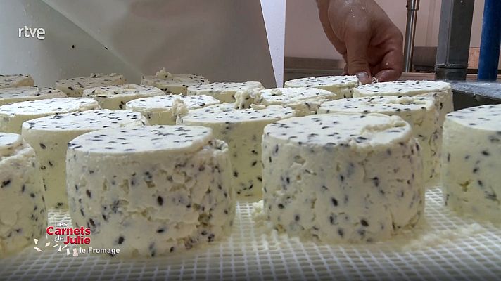 Las recetas de Julie - Queso a la carta