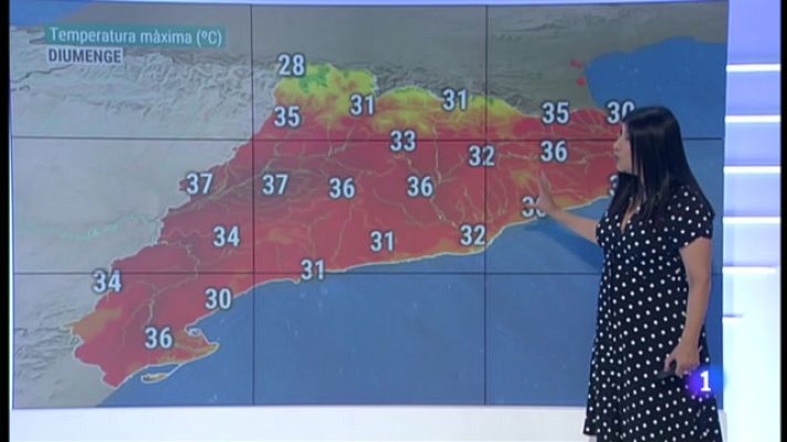 El temps - Primera calorada d'enguany, intensa però curta