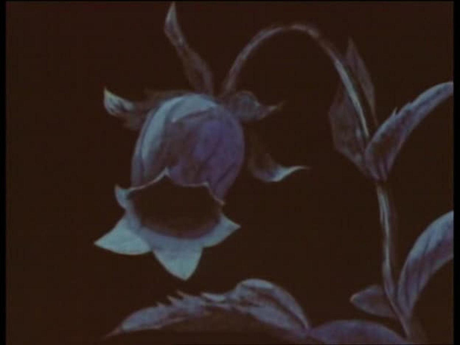 La abeja Maya - La Abeja Maya | Ver