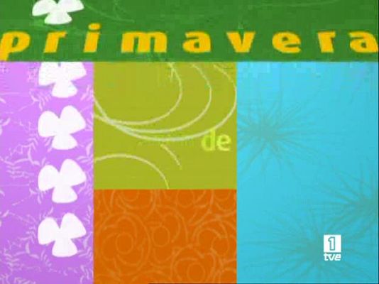 D Corazón - Corazón de primavera - 01/05/08