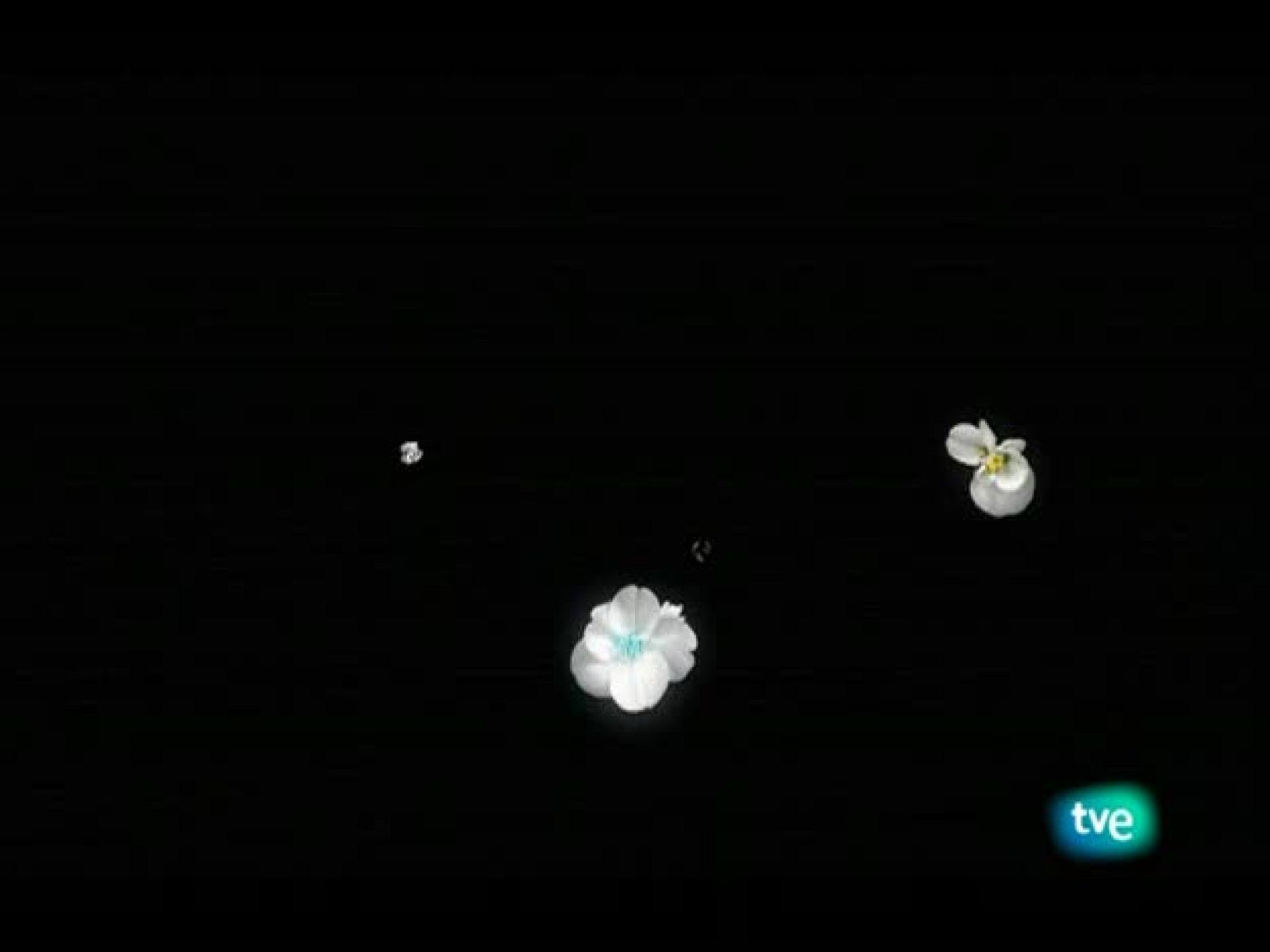 El jardín de los sueños - El Jardín de los Sueños | Ver