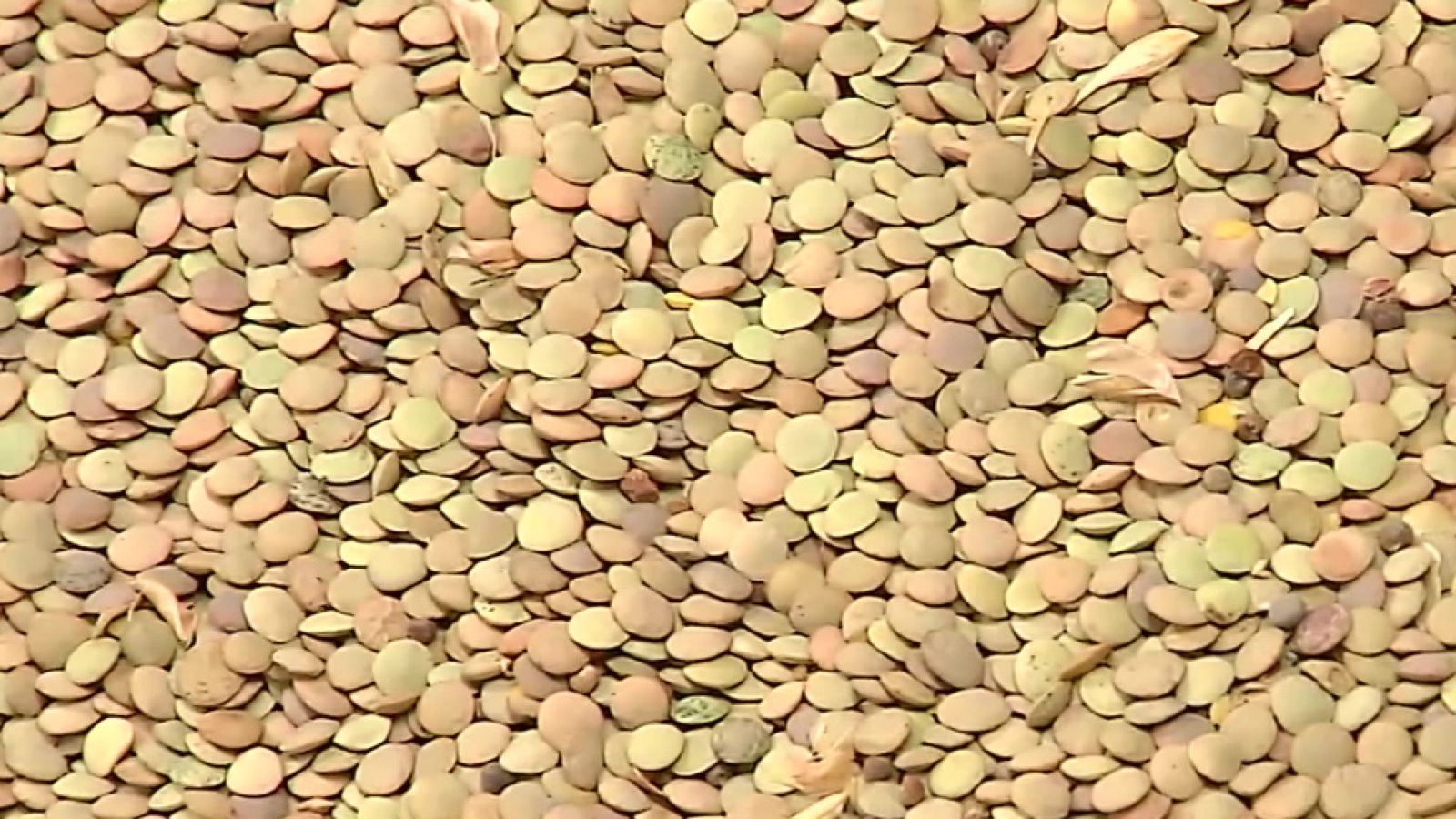 Agrosfera - 12/06/21 - ver ahora