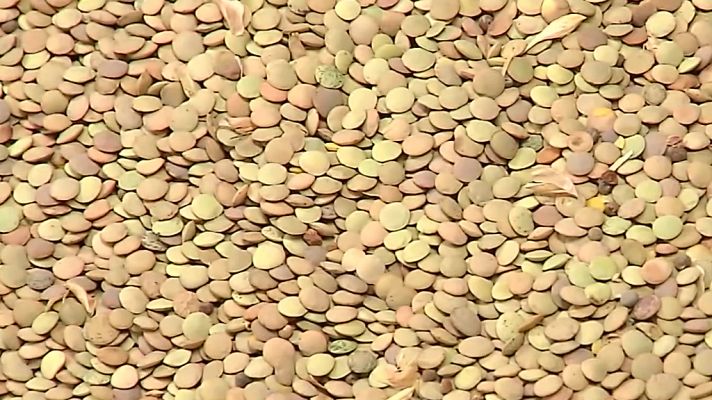 Agrosfera - Agrosfera - 12/06/21