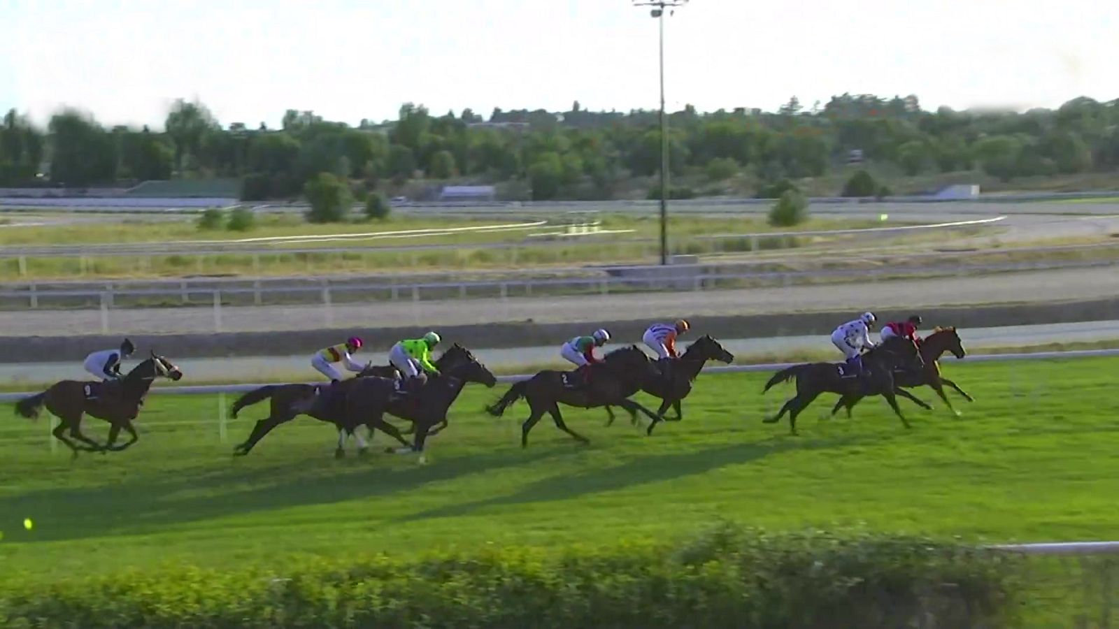 Hípica - Circuito nacional de carreras de caballos. Hipódromo de La Zarzuela - ver ahora