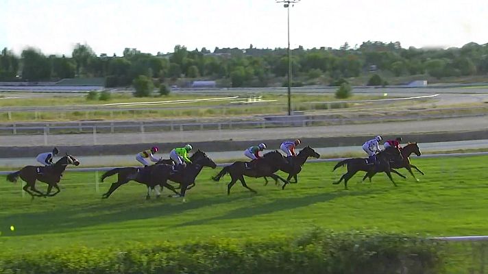Hípica - Carreras de caballos. Hipódromo de La Zarzuela
