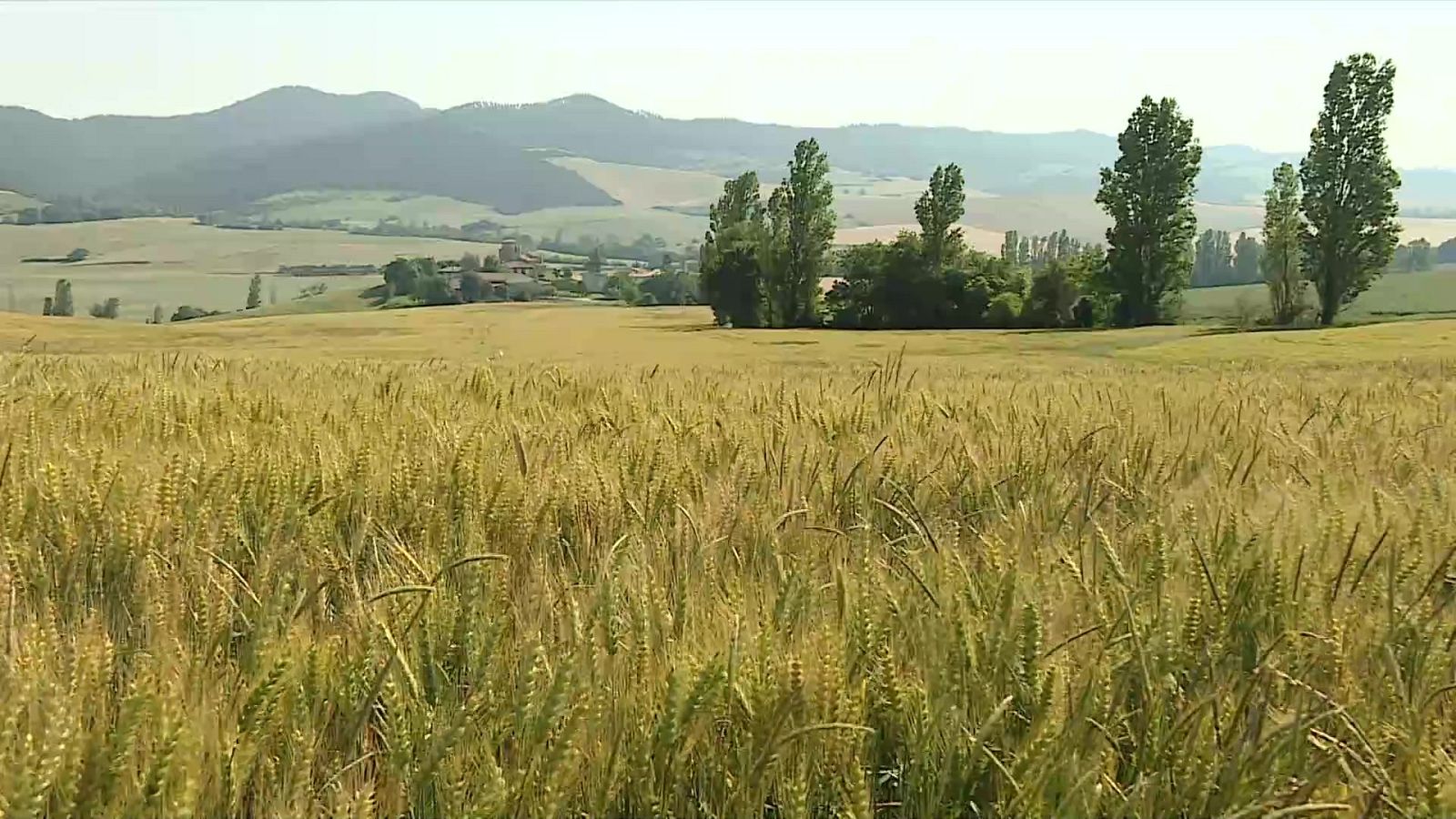 Chubascos y tormentas localmente fuertes en el este de Galicia, el entorno de la cordillera Cantábrica y en la Ibérica zaragozana - ver ahora