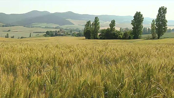 El tiempo - Chubascos y tormentas localmente fuertes en el este de Galicia, el entorno de la cordillera Cantábrica y en la Ibérica zaragozana