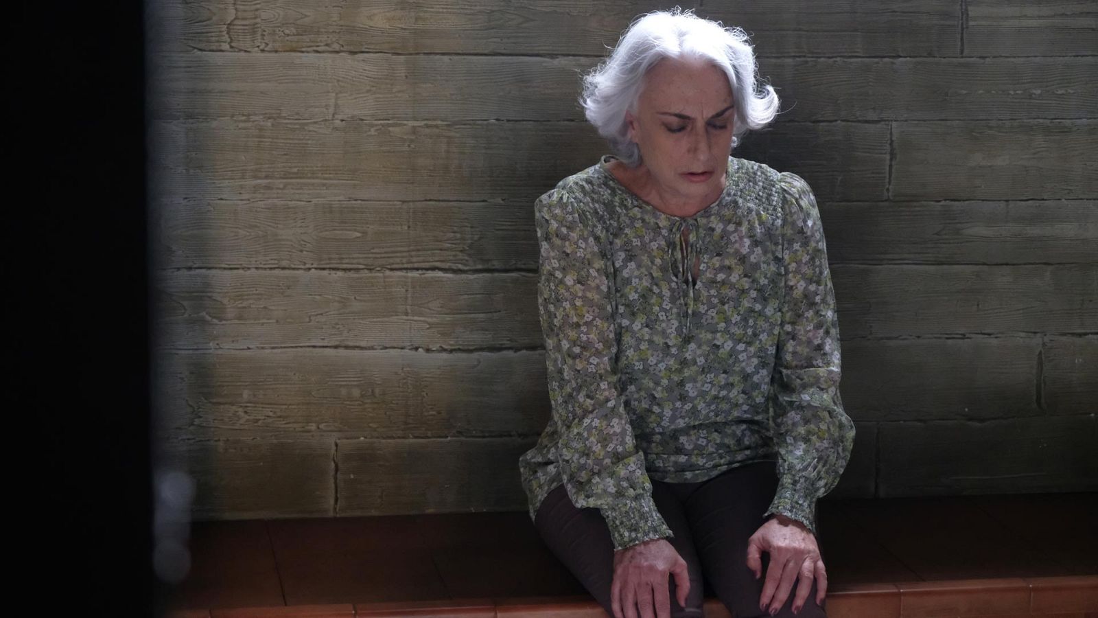 Servir y proteger - Episodio 990 - Ver ahora