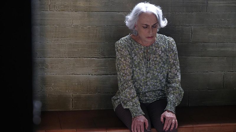 Servir y proteger - Episodio 990