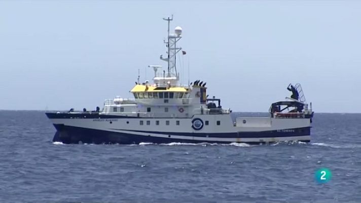 Telecanarias - Telecanarias 2 - 14/06/2021