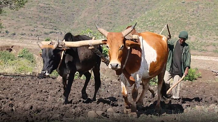 Sin equipaje - Etiopía: la tribu Amara