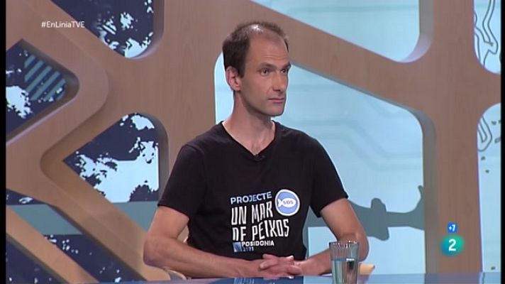 En Línia - La desaparició dels peixos del Maresme