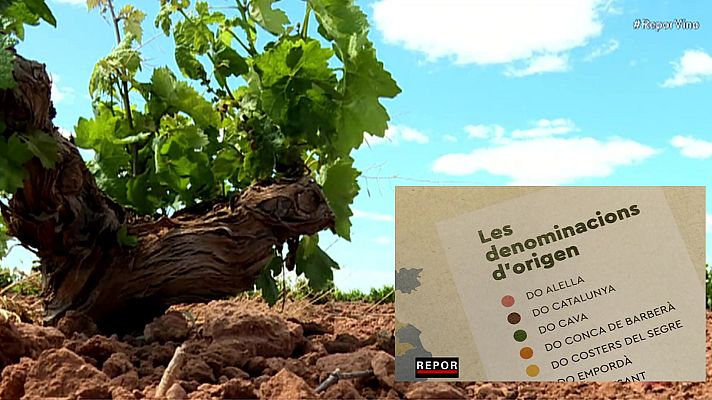 Repor - Conflictos de origen