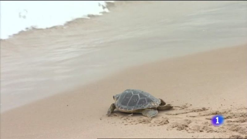 L'Informatiu Comunitat Valenciana 1 - 16/06/21 ver ahora