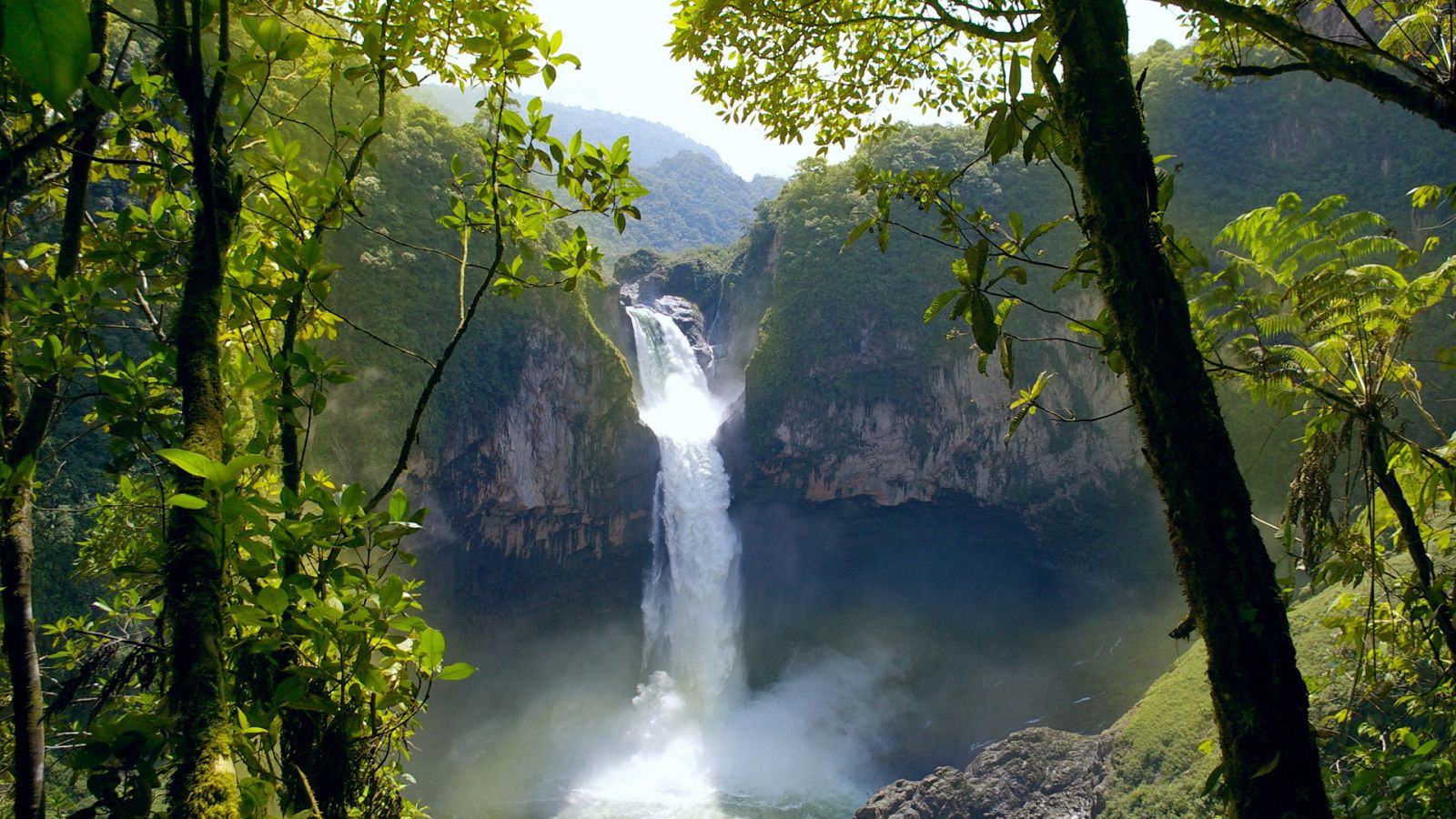 Descubrir - La Amazonía ecuatoriana - ver ahora