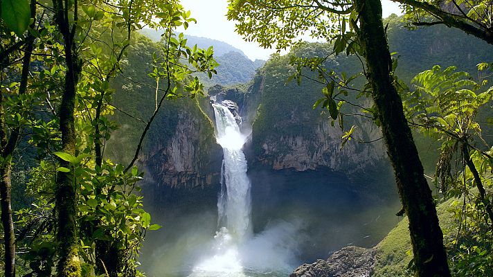 Descubrir - La Amazonía ecuatoriana