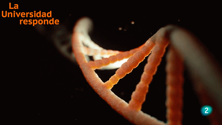 La aventura del Saber - ¿Existen alternativas a los antibacterianos actuales?