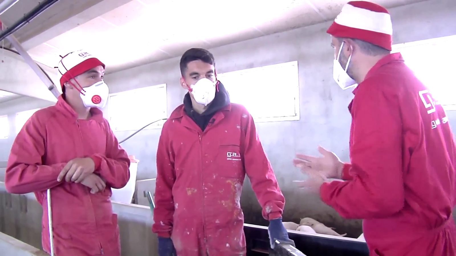 Dani Mateo, "el ganadero maratoniano", preparado para Tokio - Comando Actualidad | Ver