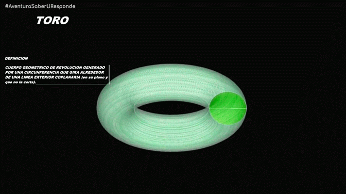 La aventura del Saber - ¿Qué es un toro?