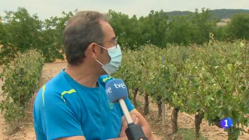 Informativo Telerioja 17/06/21-Ver ahora