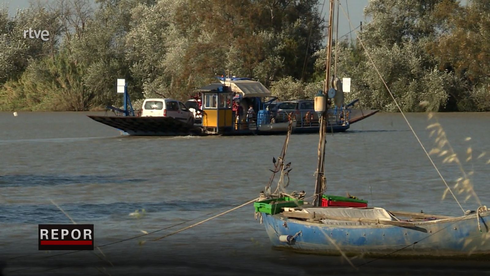 Repor - Konichiwa Coria - ver ahora