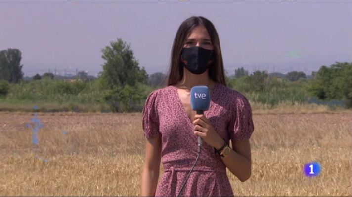 Noticias Aragón - Día de la lucha contra la desertificación