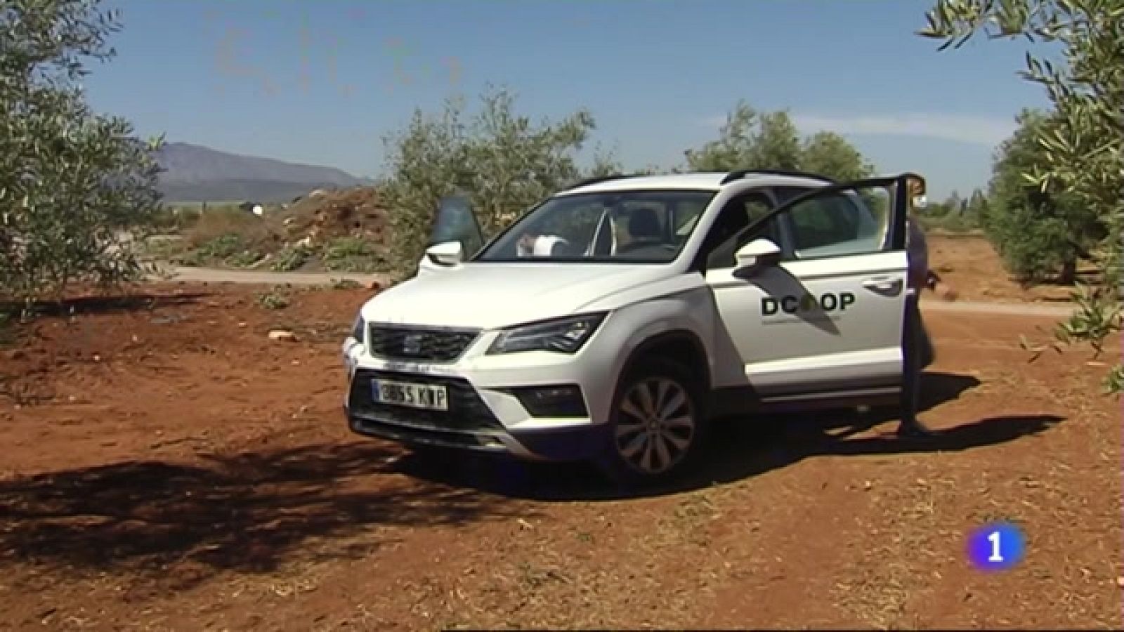 Una cooperativa andaluza de premio - Noticias Andalucía | Ver