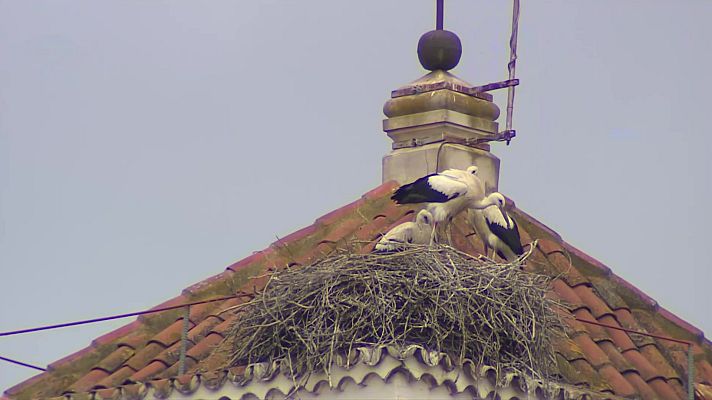 El tiempo - Chubascos y tormentas localmente fuertes y con granizo en Extremadura, meseta Norte, área Cantábrica, alto Ebro e interior de Galicia