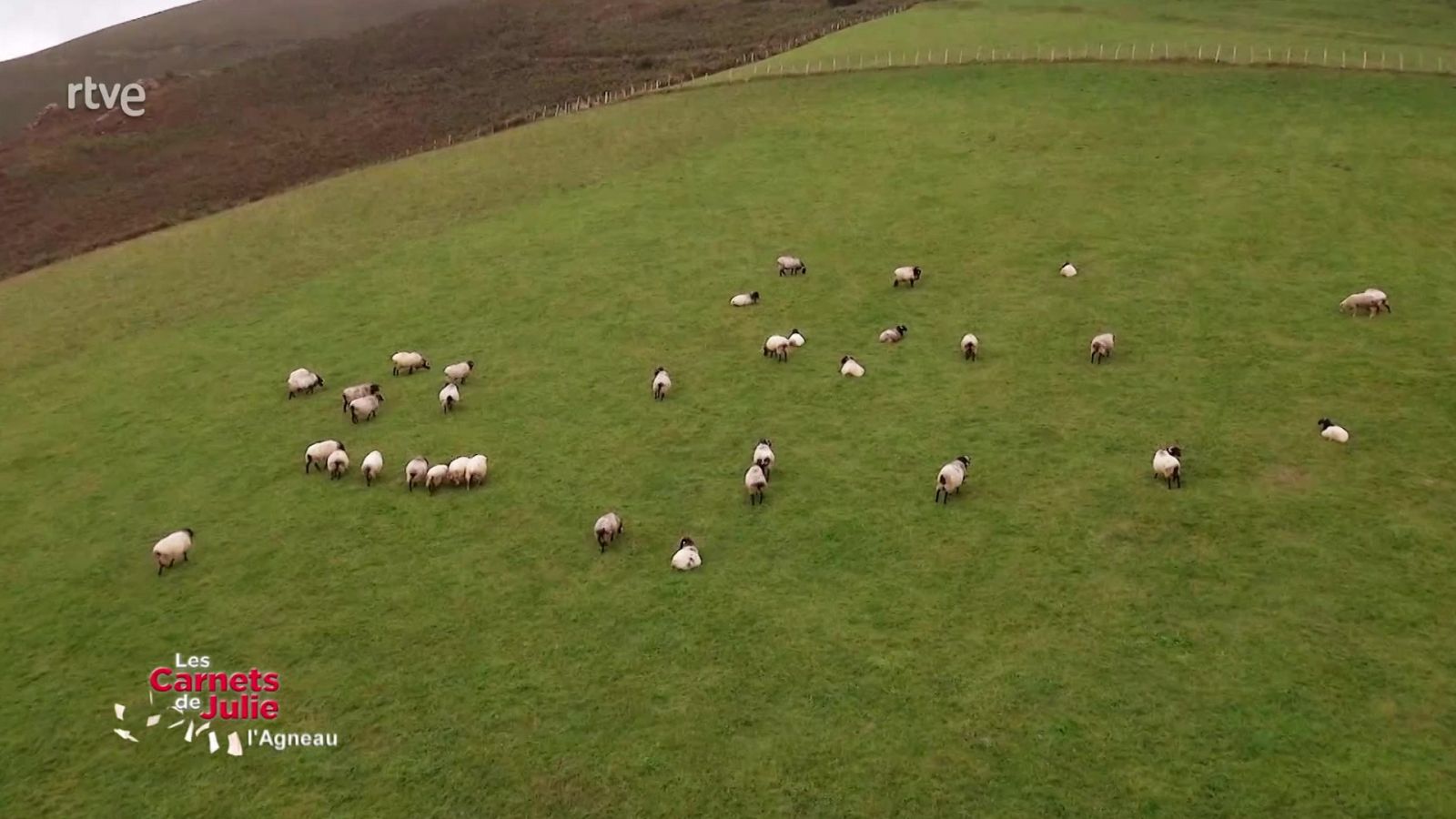 Las recetas de Julie - Los sabores del cordero - ver ahora