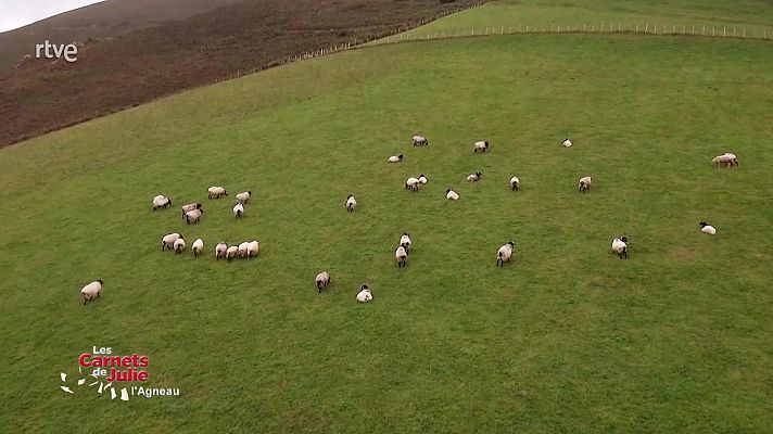 Las recetas de Julie - Los sabores del cordero