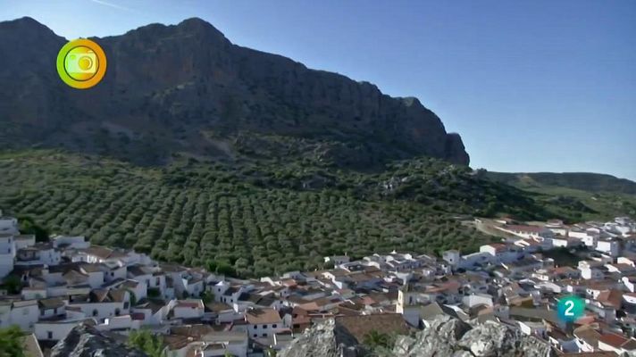 Agrosfera - Montejaque