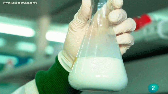 La aventura del Saber - ¿Qué beneficios aporta el kéfir de leche de cabra?