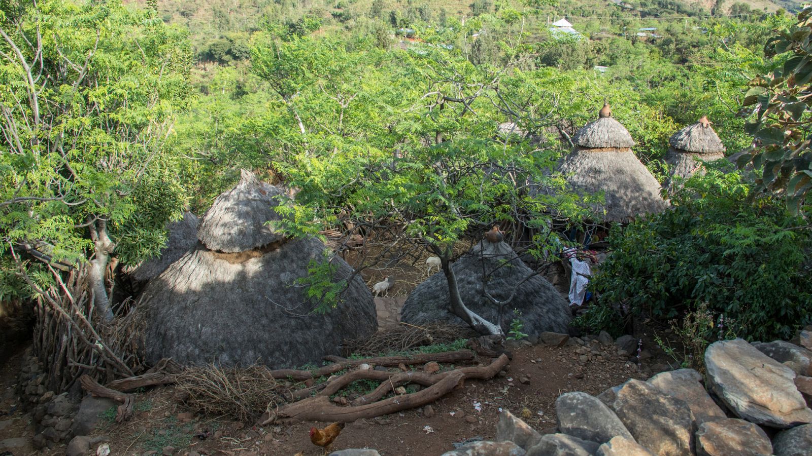 Sin equipaje - Etiopía: tradiciones y rituales - ver ahora