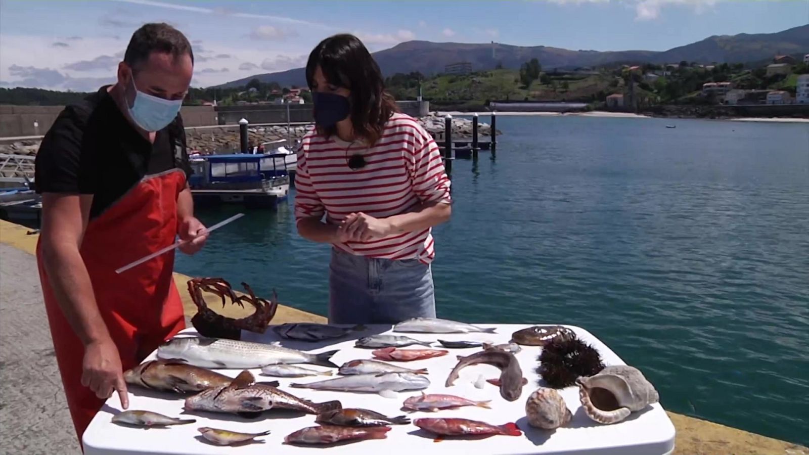 Aquí la Tierra - 21/06/21 - ver ahora