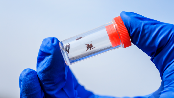 La hora de La 1 - Boticaria García explica qué hacer con las garrapatas