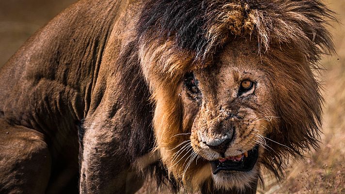 Somos Documentales - Maravillas de África (cada día es una aventura)
