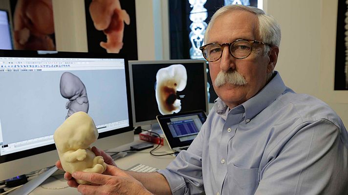 La historia secreta de nuestra evolución - Bajo el agua