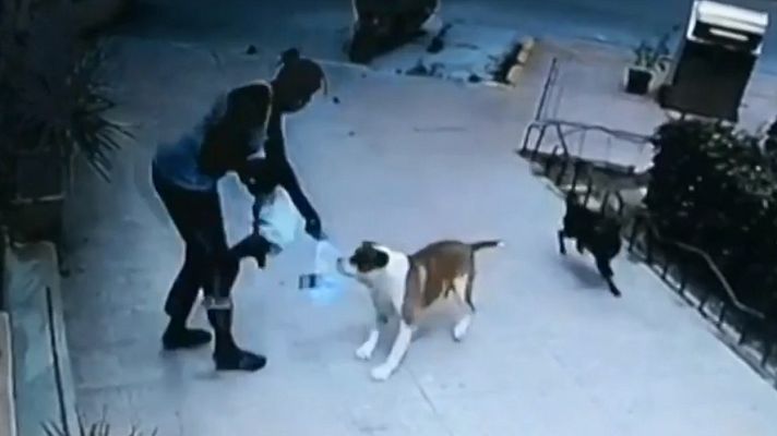 Telediario 1 - Una niña de 2 años, herida tras ser atacada por un perro