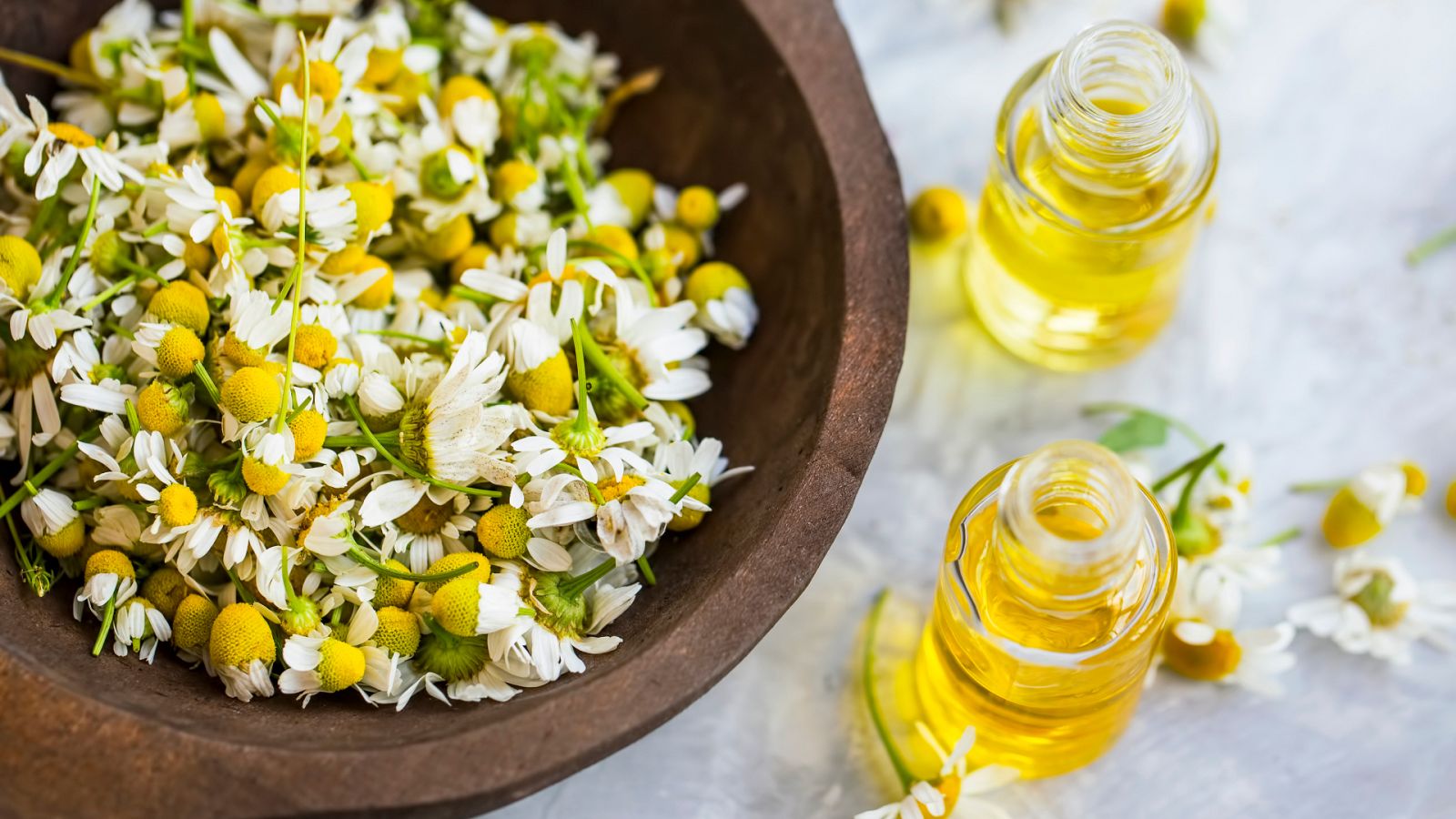 Aquí la Tierra - Truco de Juan Plantas: la manzanilla para curarnos los ojos