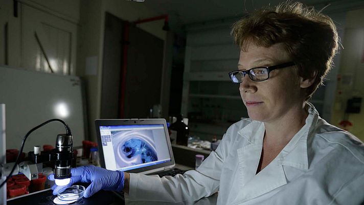 La historia secreta de nuestra evolución - Sobre la tierra