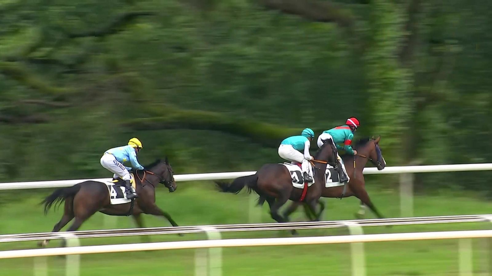 Hípica - Circuito nacional de carreras de caballos (Hipódromo de San Sebastián) - ver ahora