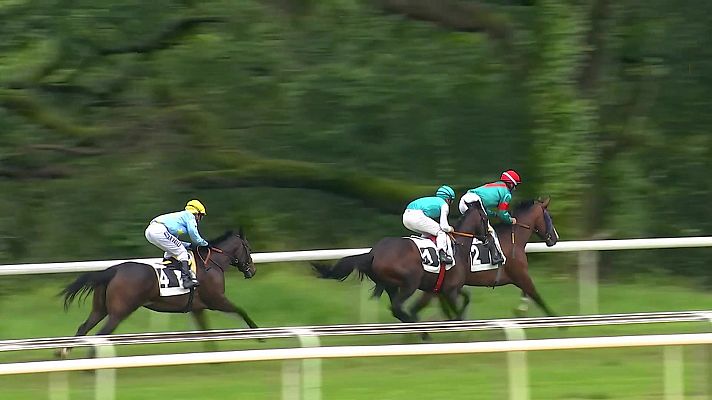 Hípica - Circuito nacional carreras de caballos (Hip. S.Sebastián)