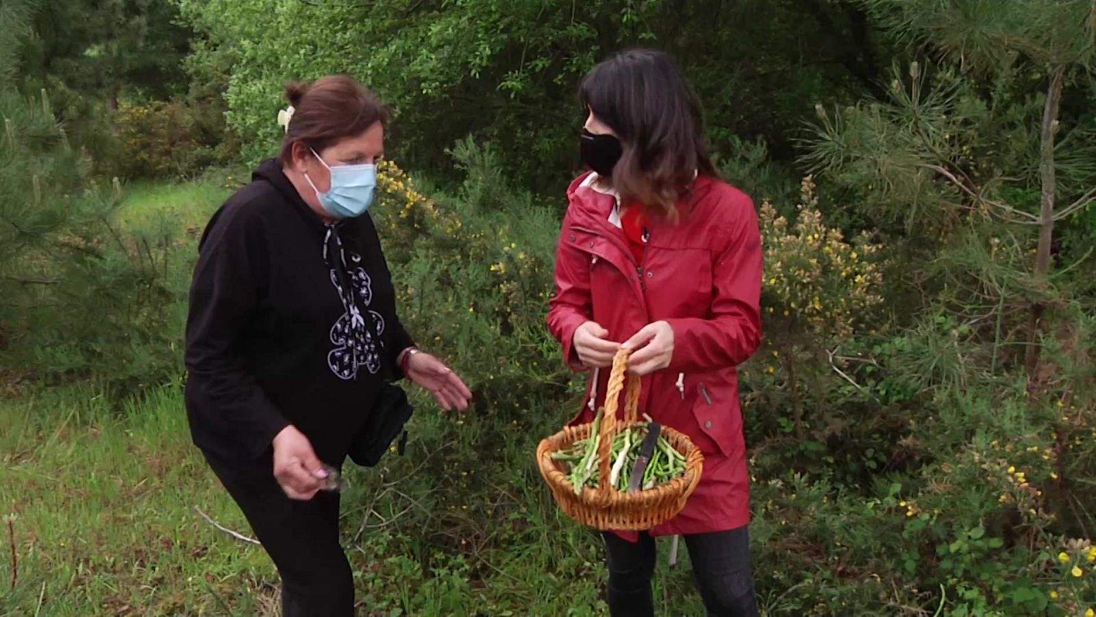 Aquí la Tierra - 23/06/21 - ver ahora