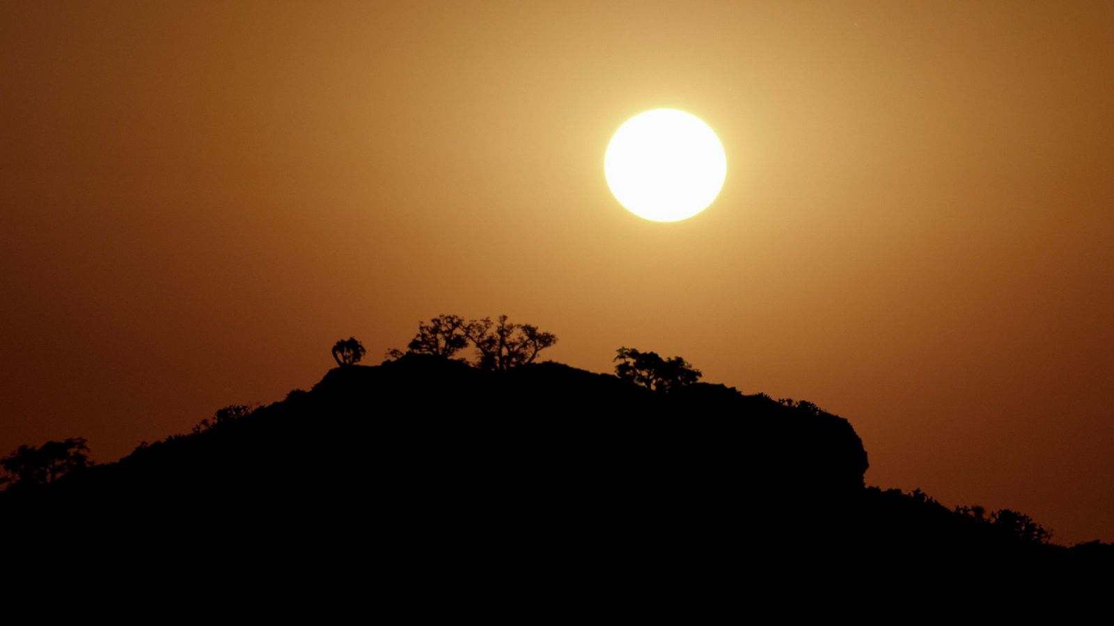 Planeta selva - El reino del Sol. Bosques caducifolios - ver ahora