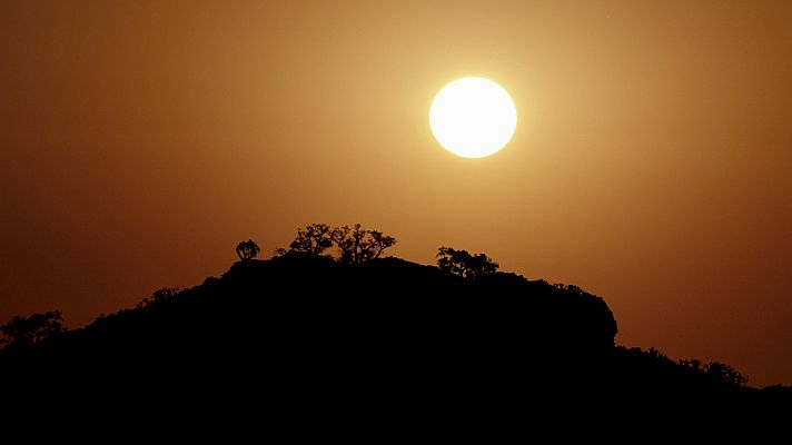 Planeta selva - El reino del Sol. Bosques caducifolios