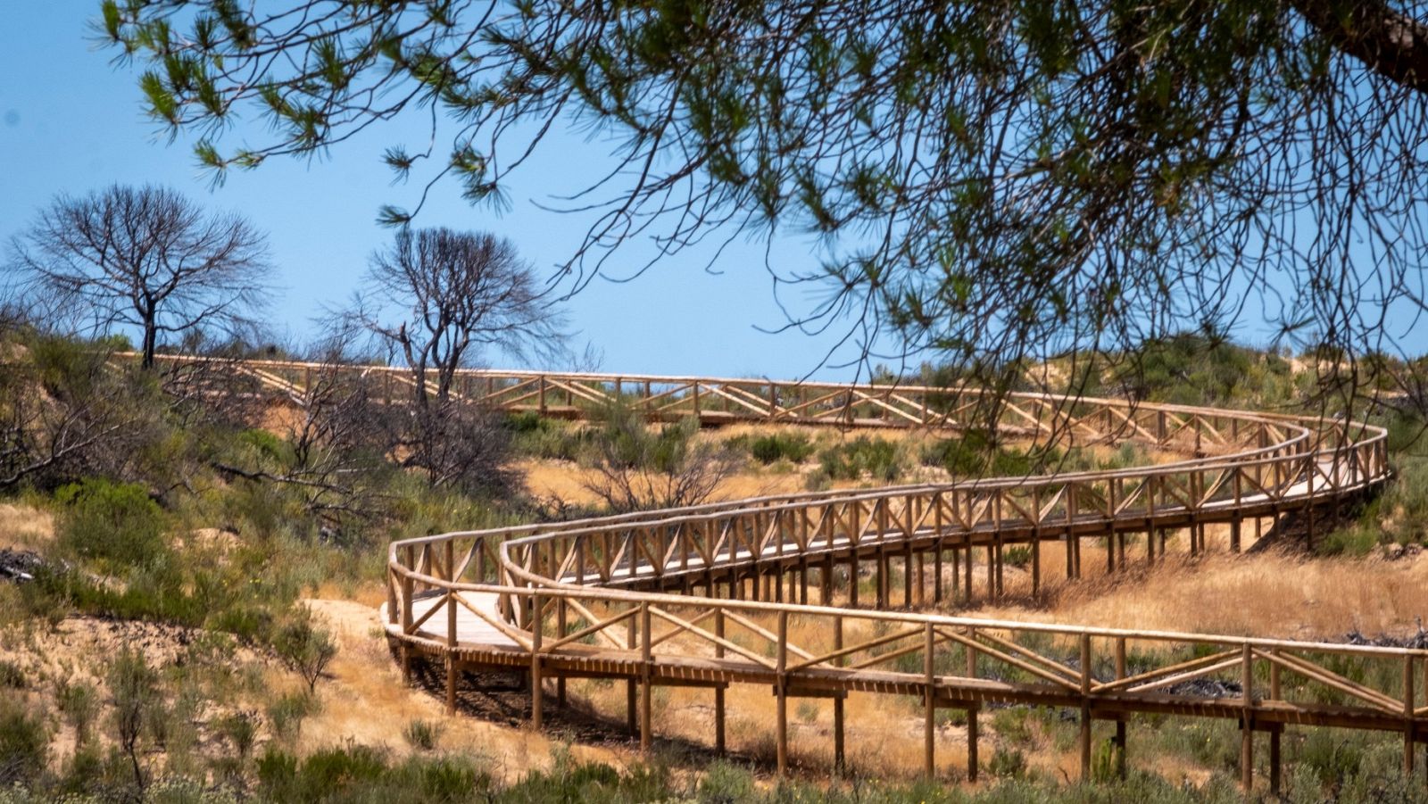 La Justicia europea condena a España por haber obviado las extracciones ilegales de agua subterránea en Doñana