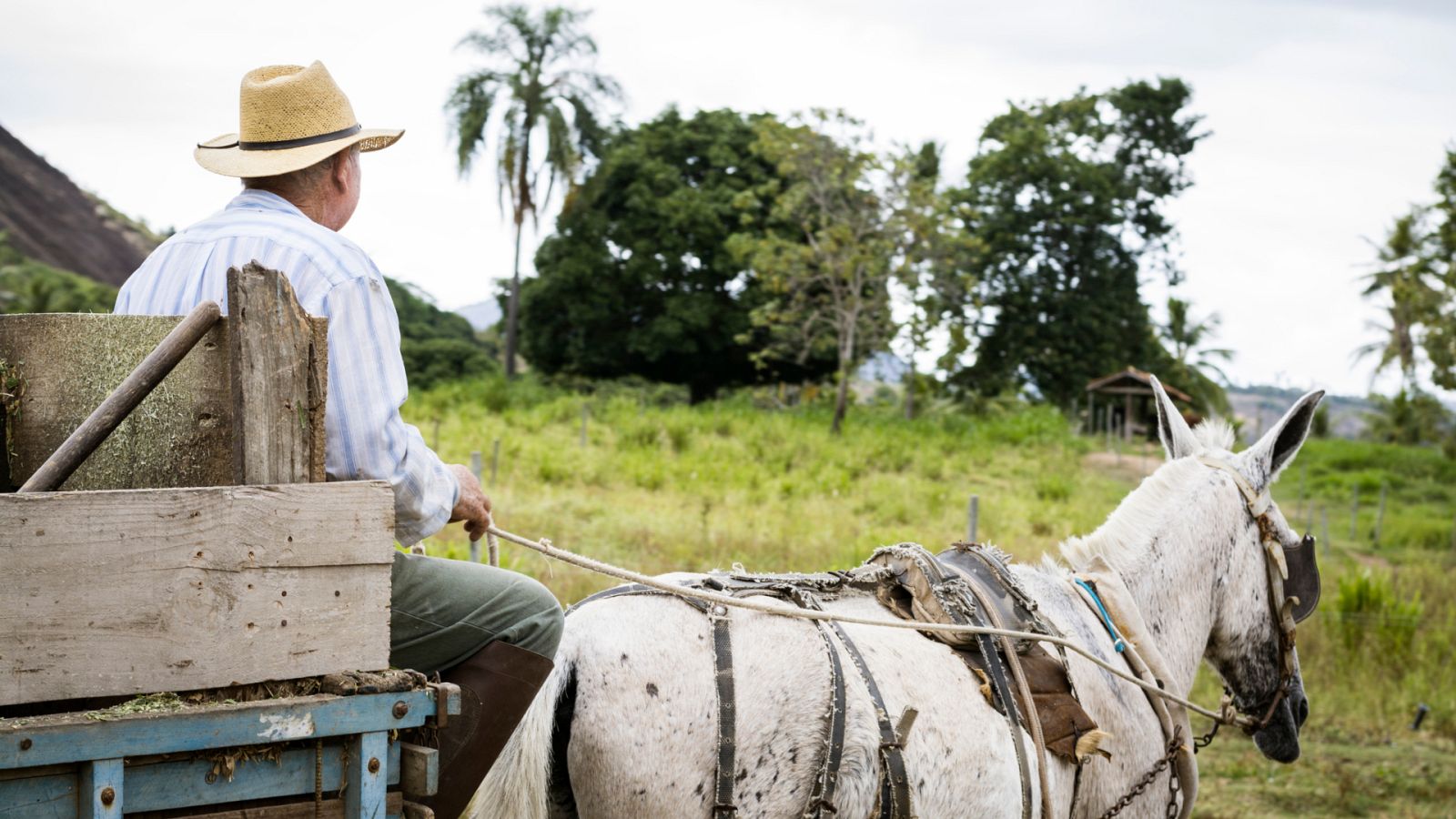 Aquí la Tierra - Arrieritos somos... y en el caminito nos encontraremos