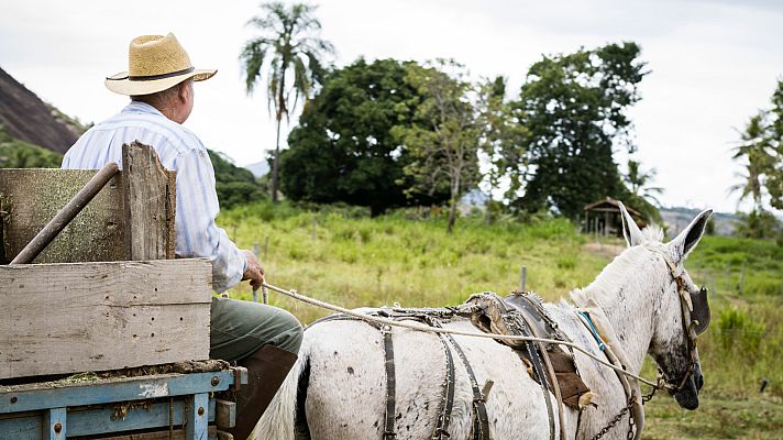 Aquí la Tierra - Arrieritos somos... y en el caminito nos encontraremos