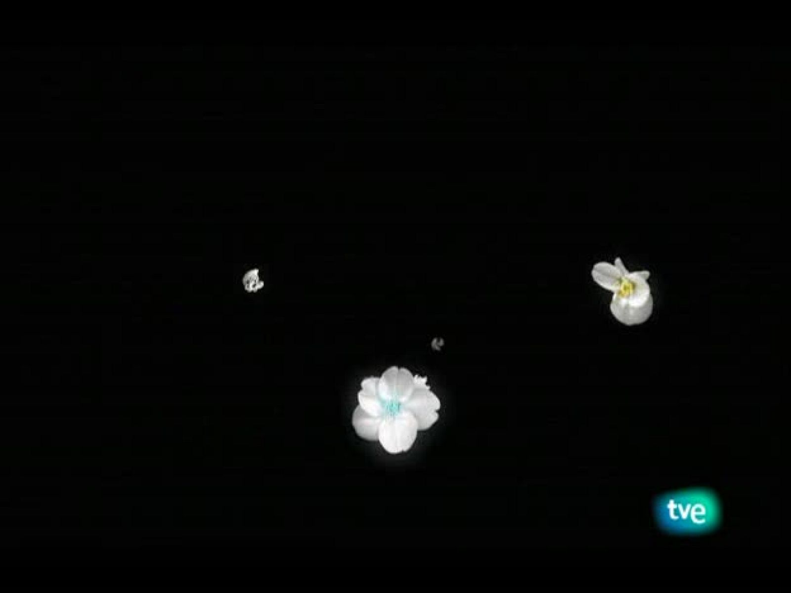 El jardín de los sueños - El Jardín de los Sueños | Ver