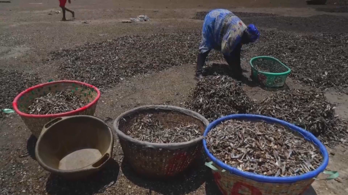 Objetivo igualdad - Las procesadoras de pescado de Senegal: mujeres resilientes
